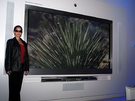 panasonic-150-inch-plasma.jpg