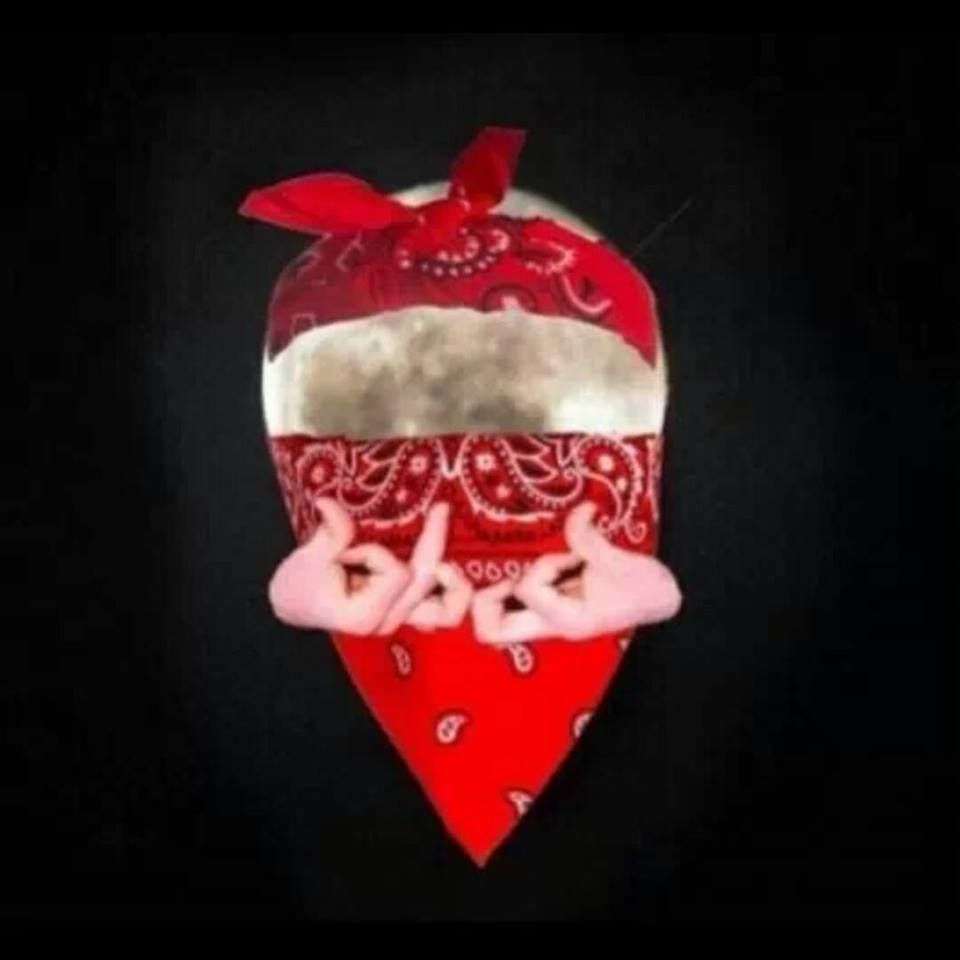 2AEC5B4B-463F-43C3-B01F-5977D53E485B_zps