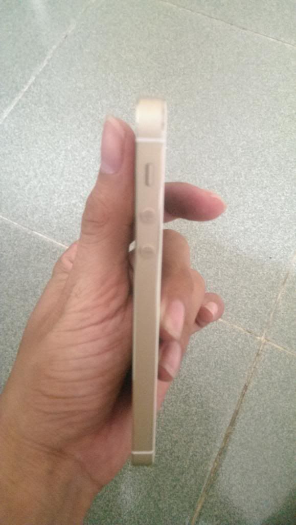 Bán IP 5s Quốc tế 16GB Gold mới 99,99% Full box - Sài được 2 tháng giá Hot !!!! - 5