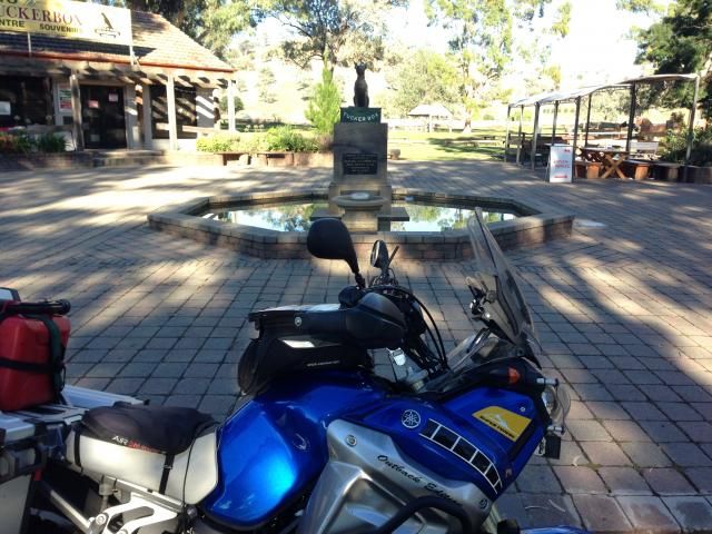 Super Tenere Motorcycle at Dog on Tuckerbox