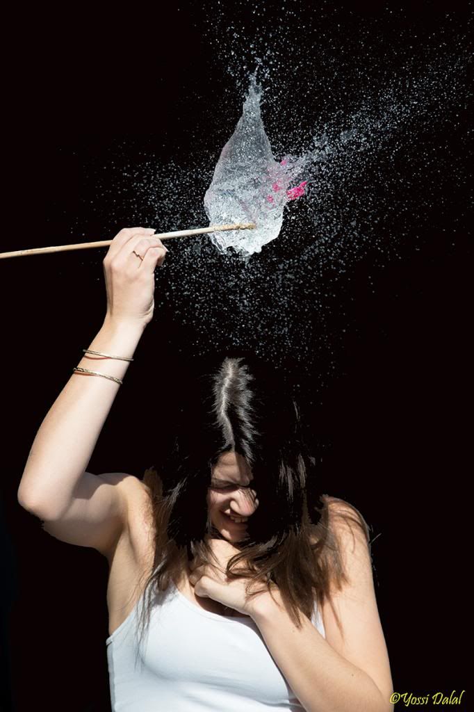 IMAGE: http://i1263.photobucket.com/albums/ii637/pilot6787/1DXL5881_800.jpg