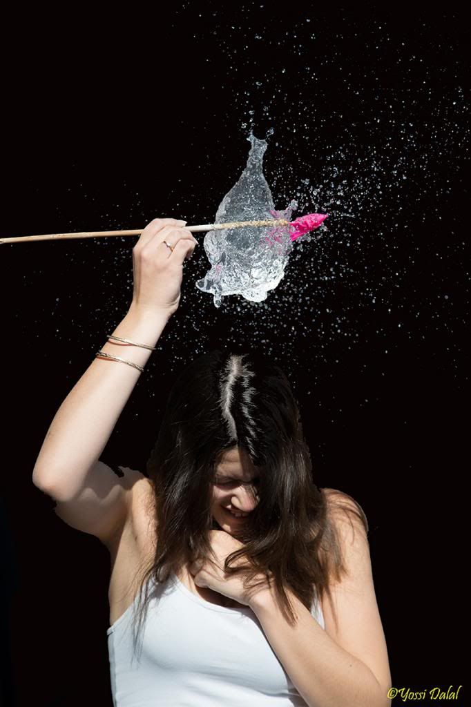 IMAGE: http://i1263.photobucket.com/albums/ii637/pilot6787/1DXL5882_800.jpg