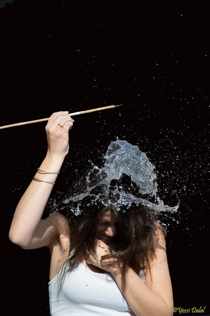 IMAGE: http://i1263.photobucket.com/albums/ii637/pilot6787/1DXL5884_800.jpg