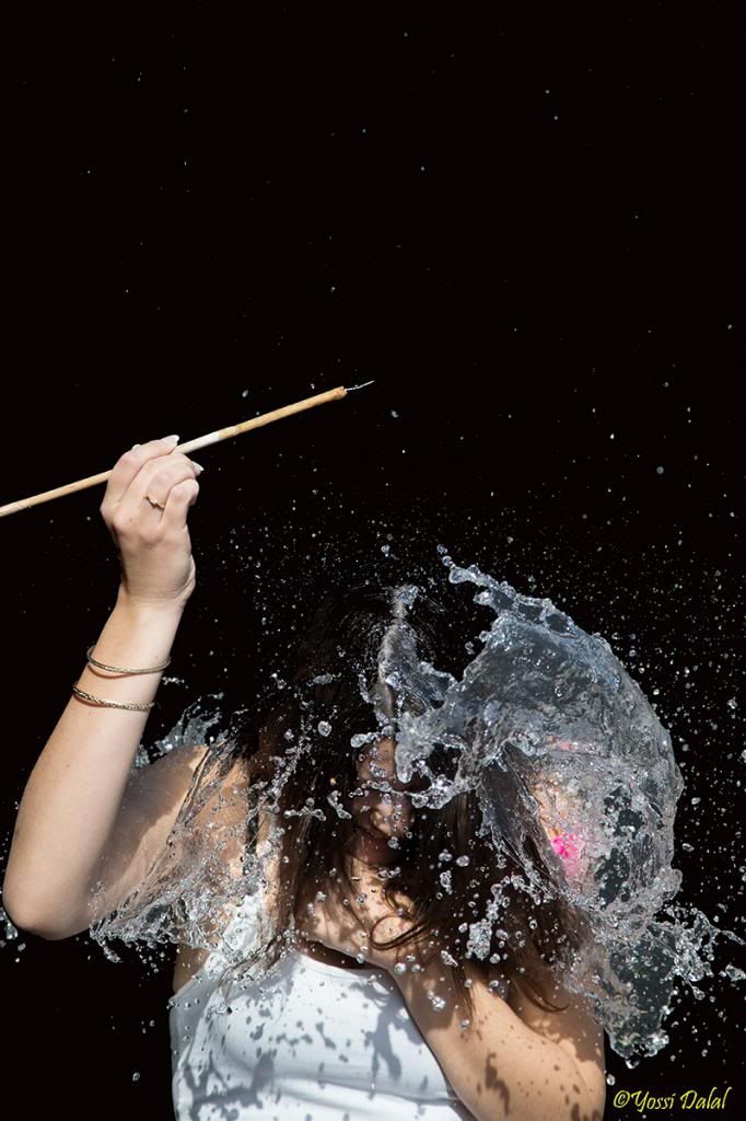 IMAGE: http://i1263.photobucket.com/albums/ii637/pilot6787/1DXL5885_800.jpg