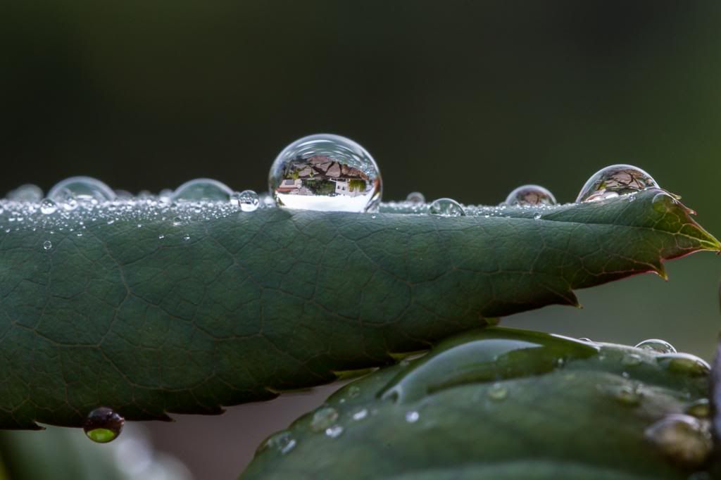 IMAGE: http://i1263.photobucket.com/albums/ii637/pilot6787/1DXL8011.jpg