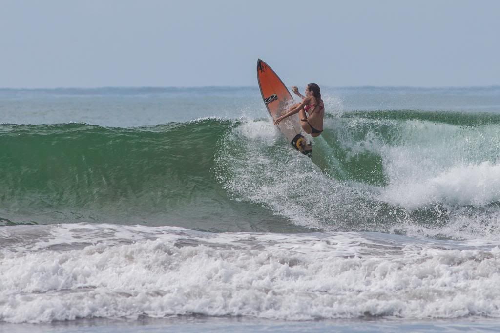 IMAGE: http://i1263.photobucket.com/albums/ii637/pilot6787/Costa%20Rica/1DXL0713.jpg