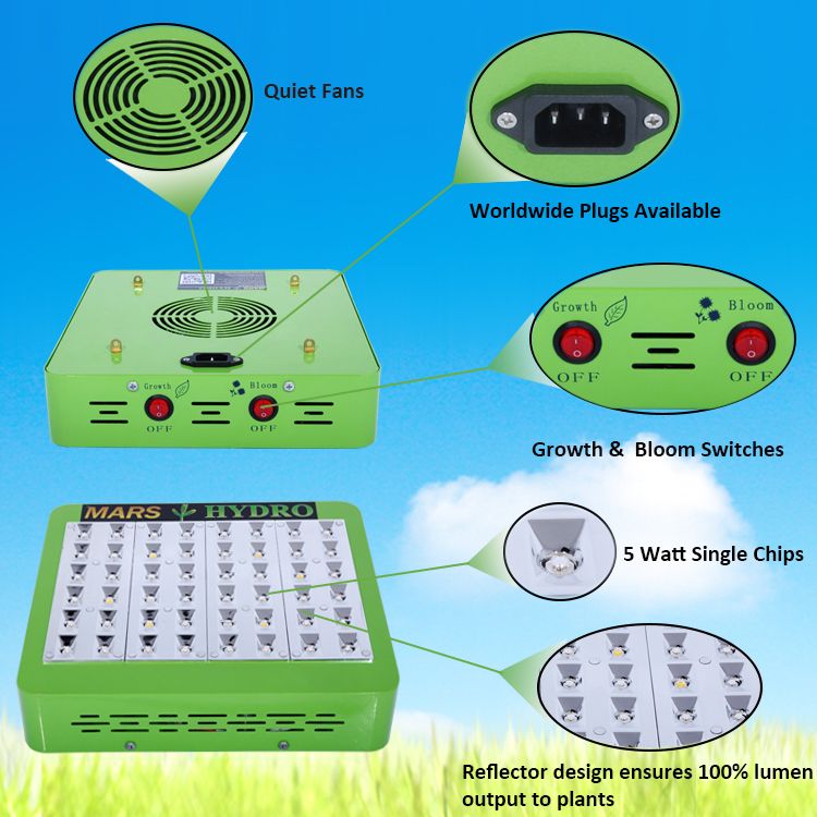 Reflector 144 LED Grow Light Plant Lamp and 4'×2'×5' Indoor Grow Tent